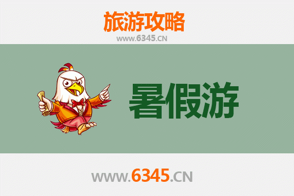 暑假德宏秘境之旅：中缅边境的雨林风情与民族奇遇
